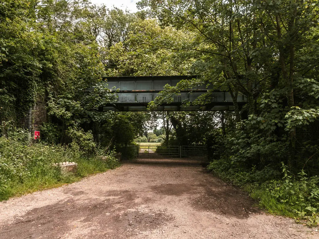 A wide dirt road leading ahead under a metal bridge which is partially hidden by tree branches. 