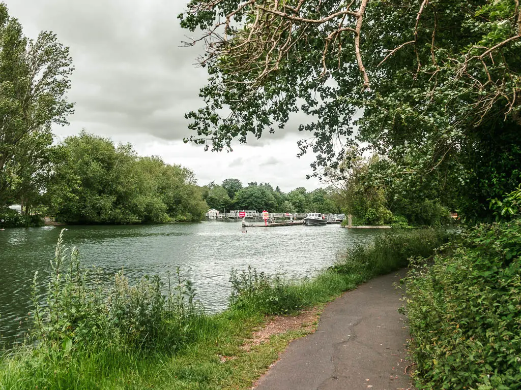 The path on the right curving behind the bushes, with the river on the left with ripples. There is a mass of trees lining the left side of the river.