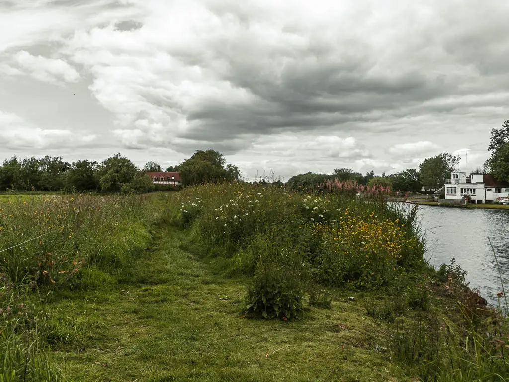 A grass path through the tall grass, with the river to the right.