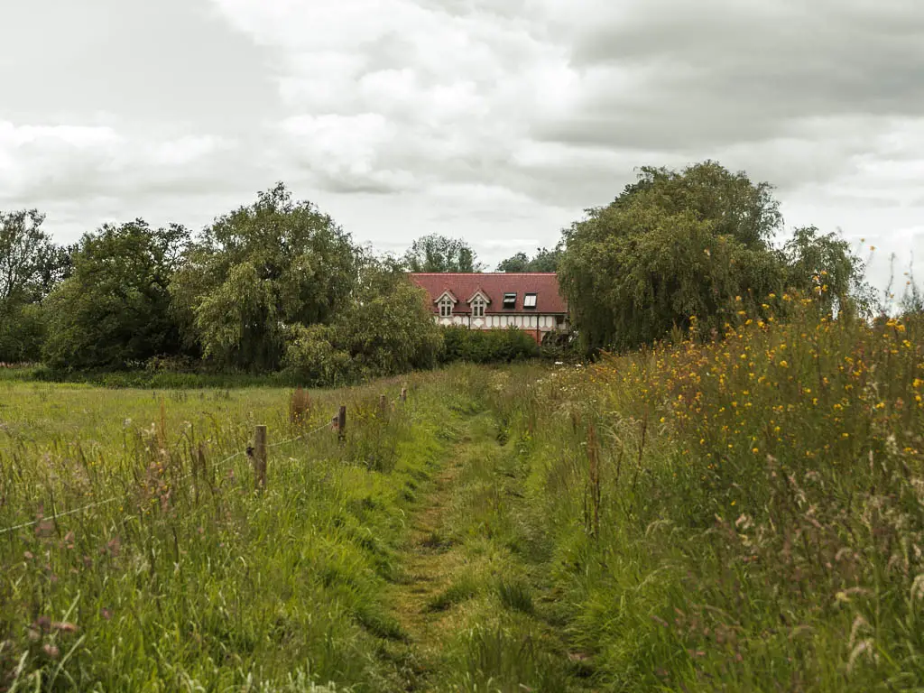 A grass path leading through the tall unkempt grass, towards a partially hidden house, on the walk between Reading and Henley. 