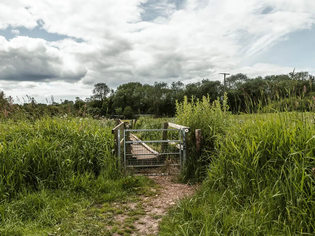 The dirt path leading to a metal gate and bridge, surrounded by tall grass.