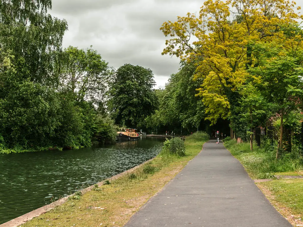 A long wide walking path, lined with grass on both sides, and the river to the left. There are lots of trees on the other side of the river.