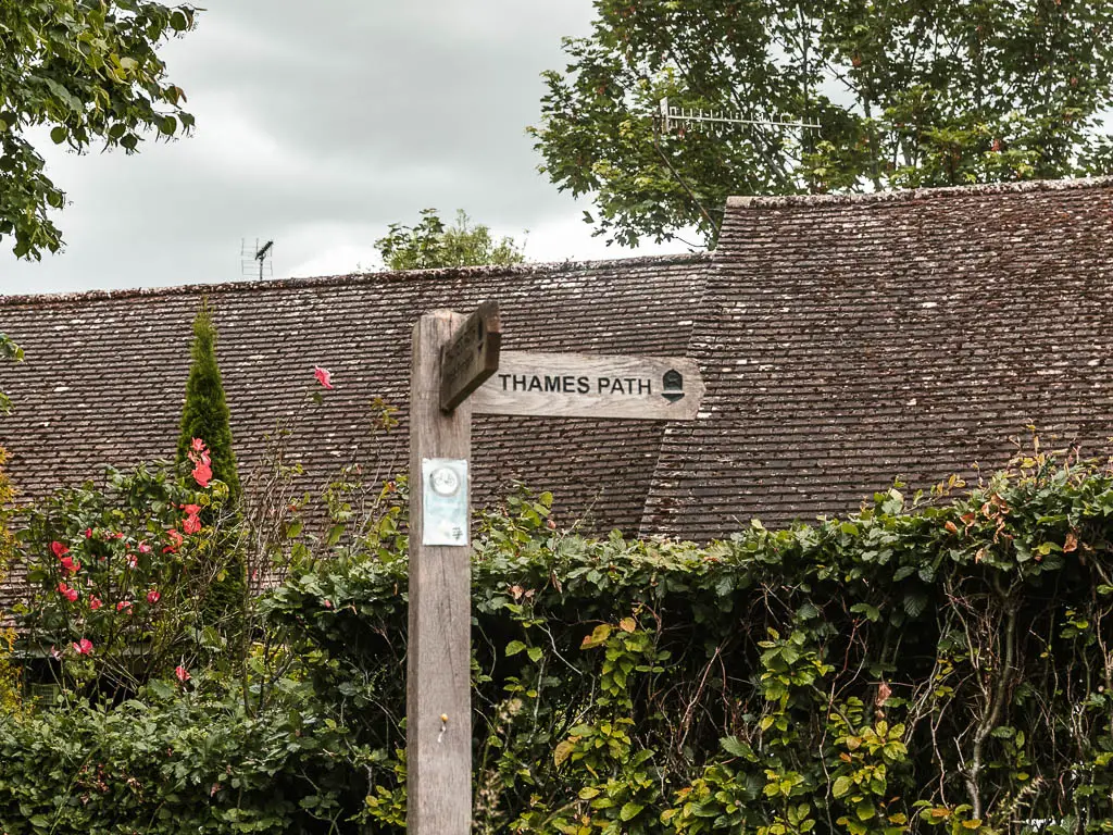 A wooden trail sign pointing right for the Thames Path, on the route between Reading and Henley. There is a rooftop behind a hedge behind the sign.