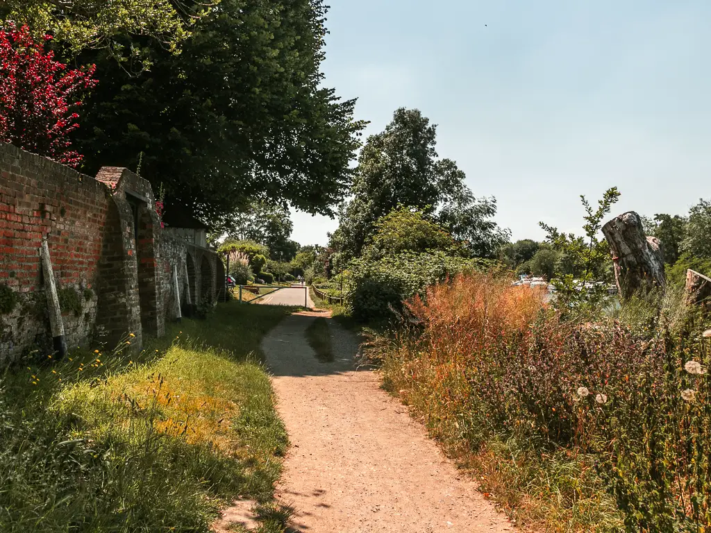 A wide dirt path lined with a strip of grass and brick wall on the left and bushes on the right, on the walk between Staines and Shepperton.