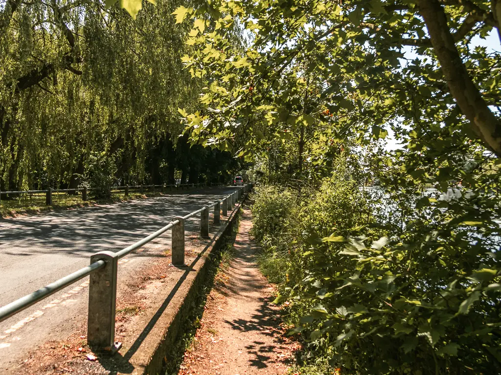 A narrow dirt trail with railing and road to the left and bushes and trees to the right, along the walk from Staines to Shepperton.