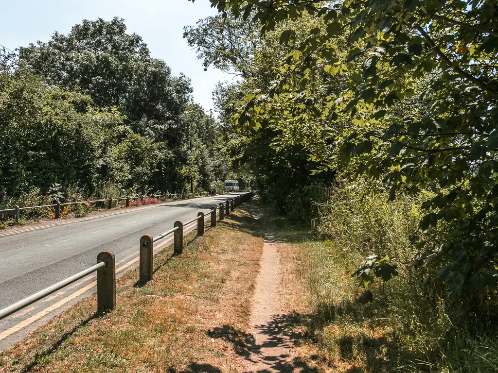 A narrow trail through a strip of grass with railing and road to the left and bushes and trees to the right, along the walk from Staines to Shepperton.