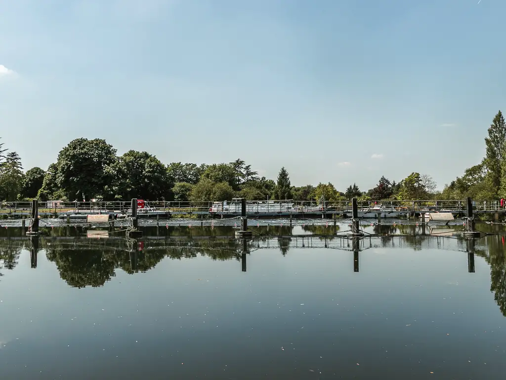 Looking across the calm river to the wooden poles in the river and boats and trees, with their reflections, partway through the walk from Staines to Shepperton.