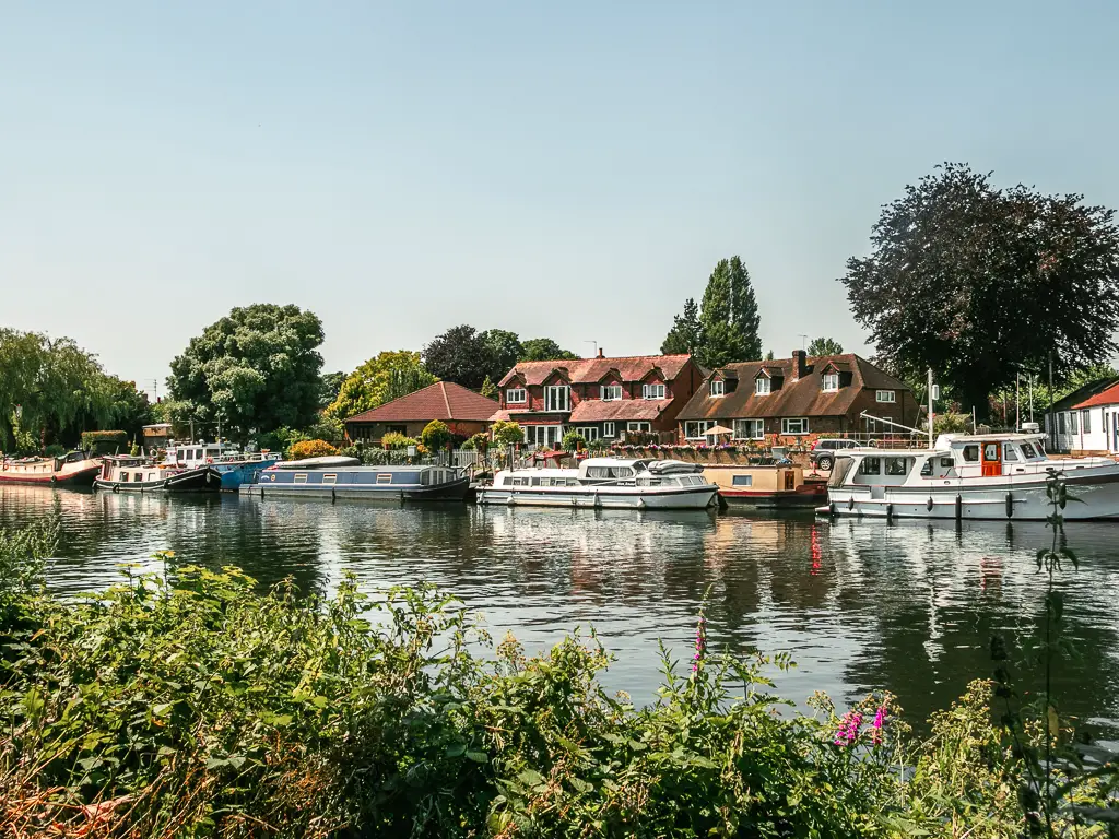 Looking over the green bushes to the river with ripples, with boats moored to the other side and hoses behind them, at the start of the walk from Staines to Shepperton.