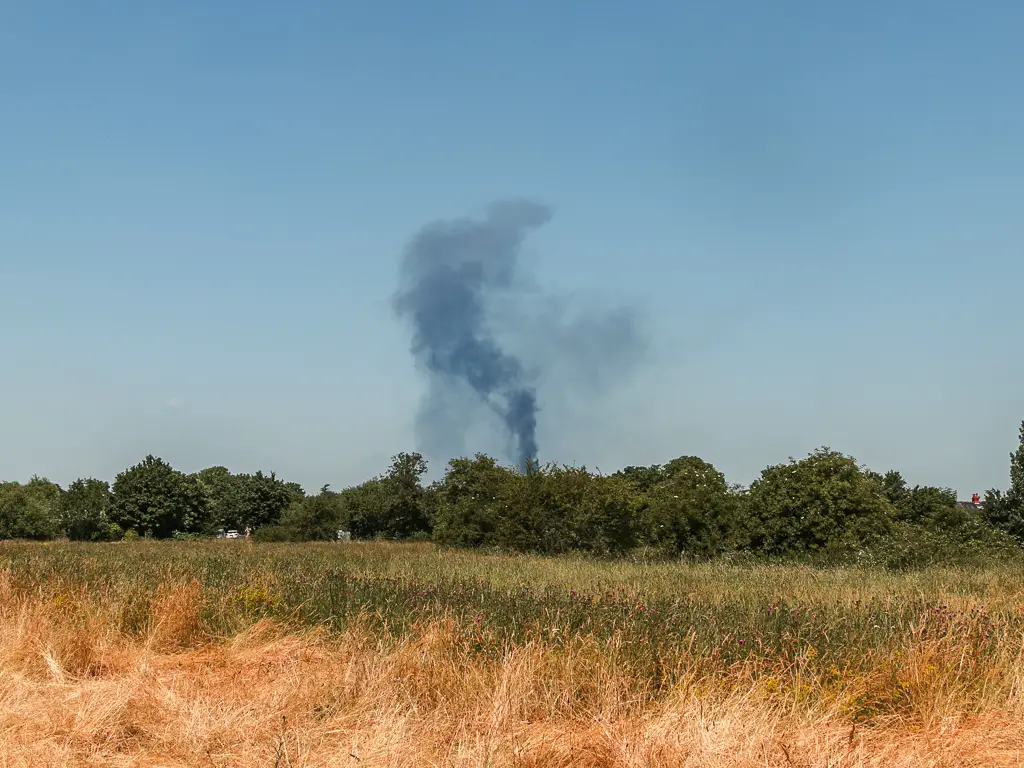 Looking across the meadow to a plume of smoke rising up in the distance.