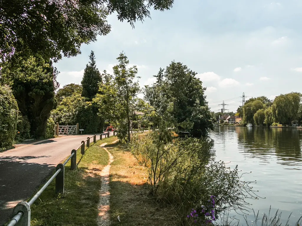 A narrow trail through the strip of grass, with railing and road on the left and river to the right.