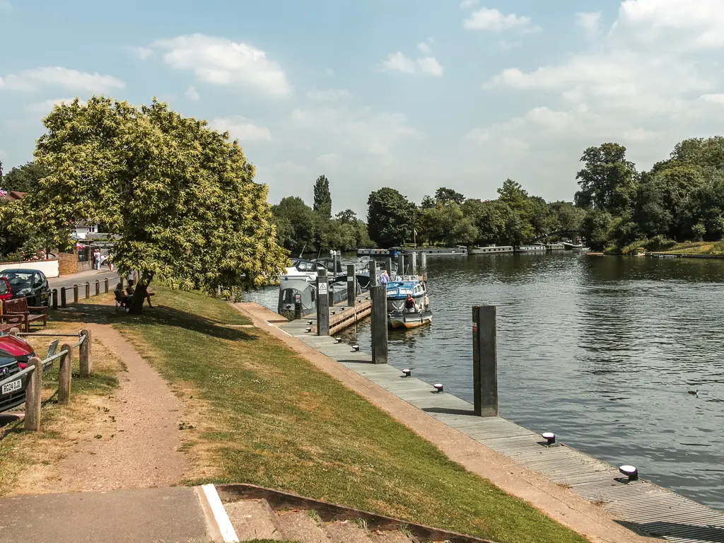 A path leading ahead, with green bank to the right leading to the river. There is a big tree on the green bank next to the path ahead.