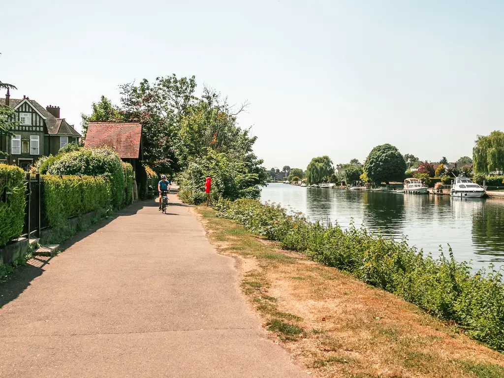 A doe path leading straight ahead, with hedges and houses to the left and a strip of grass then river to the right. There is a person cycling on the path ahead.