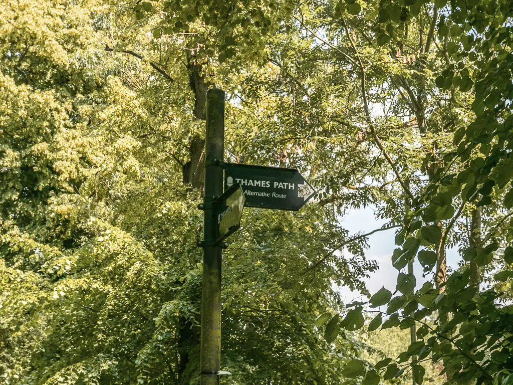 A sign pointing right for the Thames path with being green leafy trees behind it.