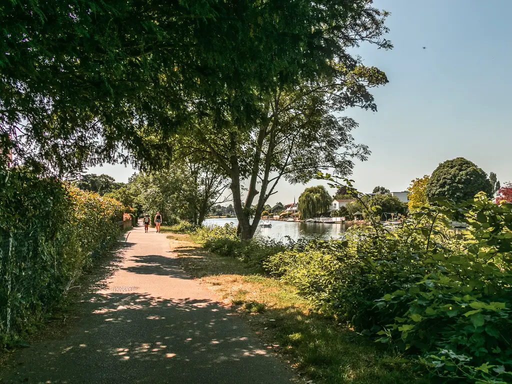 A path leading straight ahead on the left, with a green hedge on the left of it, and some bushes then the river to the right.