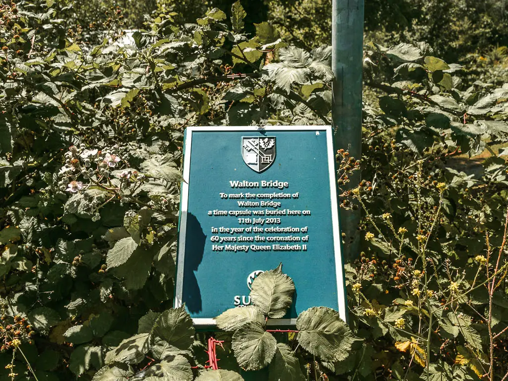 A blue information plaque nestled on top of the bushes.