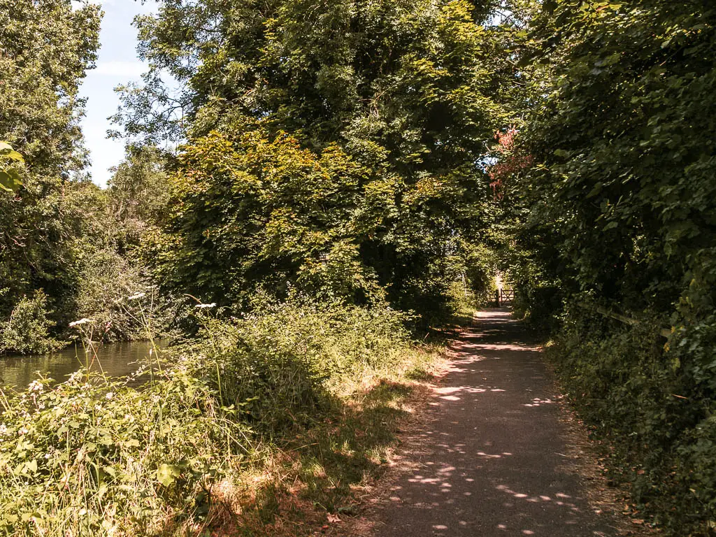 A path leading straight ahead on the right and river just visible to the left. The path is lined with bushes and trees.