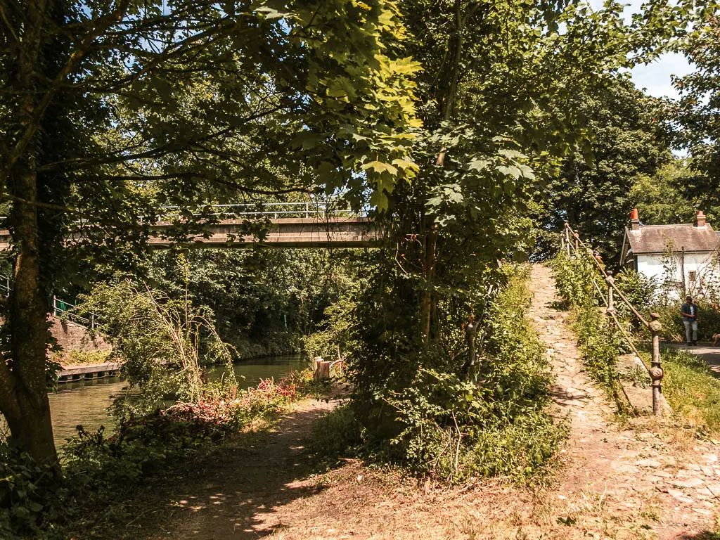 A path leading ahead, and one leading up to the bridge, both surround by trees and bushes.