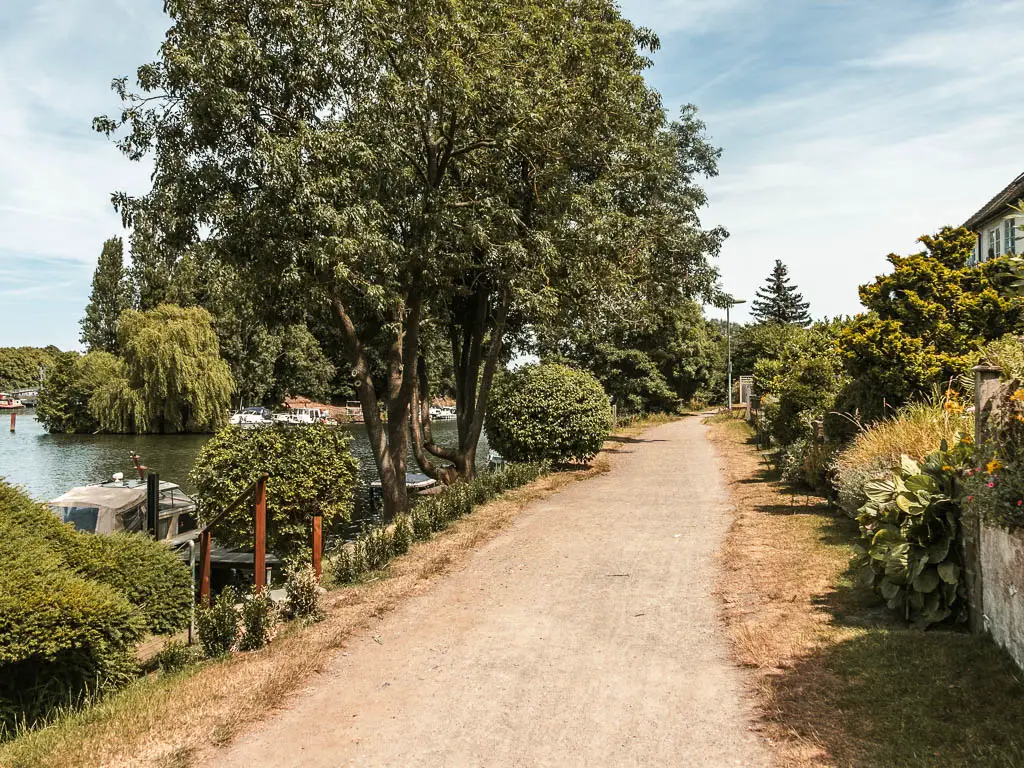 A wide path leading ahead lined with bushes and hedges and trees, with the river to the left.