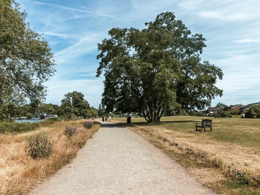 A wodę path with big green field to the right. There is a picnic bench in the field facing the path and a big tree next to it. There is stall grass linen g the left side of the path.