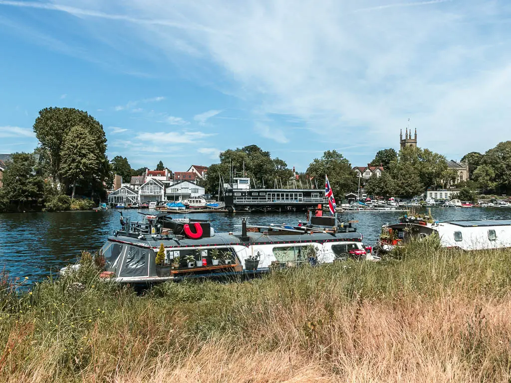 Looking over the tall messy grass to the river and moored boats, near the end of the walk from Shepperton to Hampton Court.