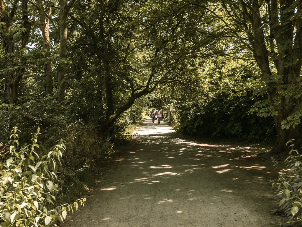 A wide path leading ahead under the darkness of tree cover towards the end of the walk from Shepperton to Hampton Court. There is light shining down ahead and some people walking along it.