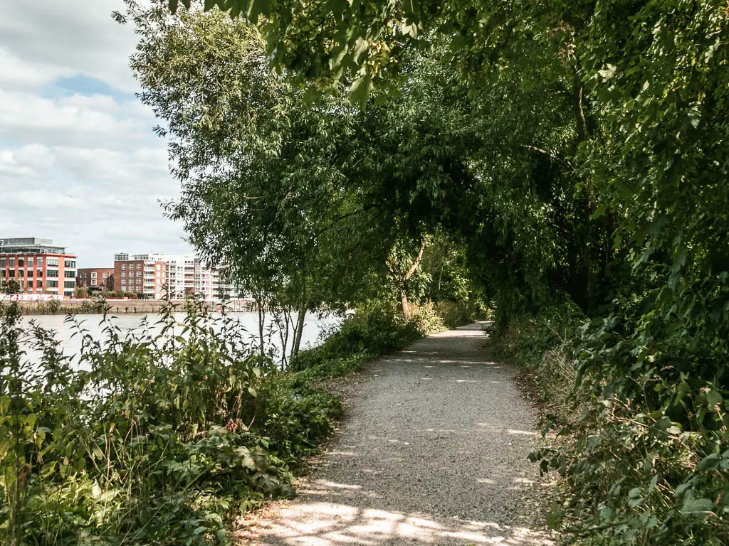 A gravel path leading ahead, lined with bushes and overhanging trees on the right and a strip of grass then river to the left.