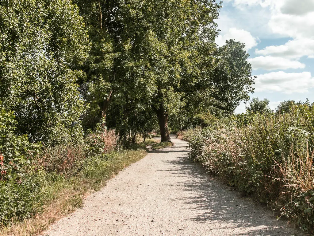 A gravel path winding ahead, lined with bushes and trees, near the end of the walk from Hampton Court to Putney.