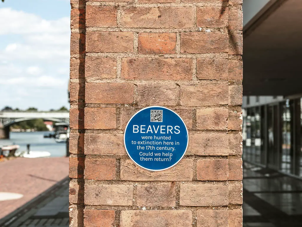 A blue sign on a brick pillar, saying Beavers were hunted to extinction here.