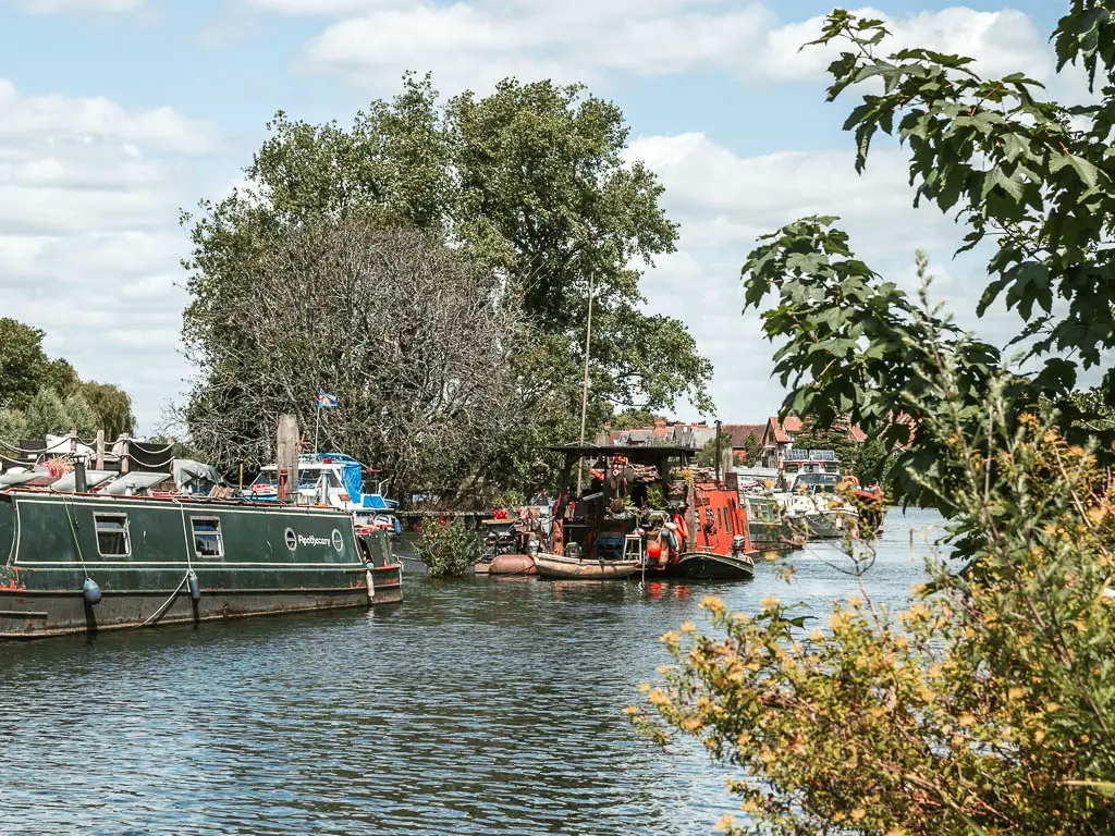 Looking along the river to a couple of barge boats, and there are bushes coming into the frame to the right.