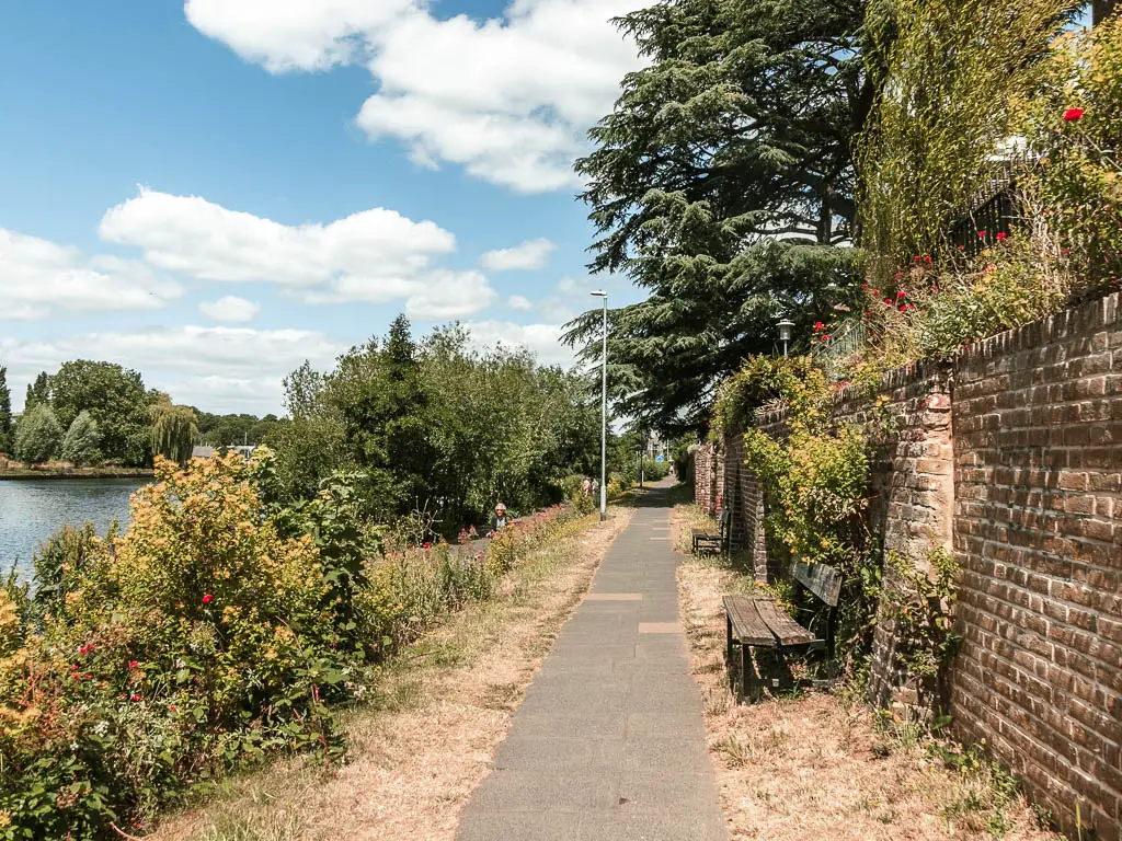 A narrow walking path with a brick wall to the right and bushes to the left. The river is just visible to the left of the bushes.