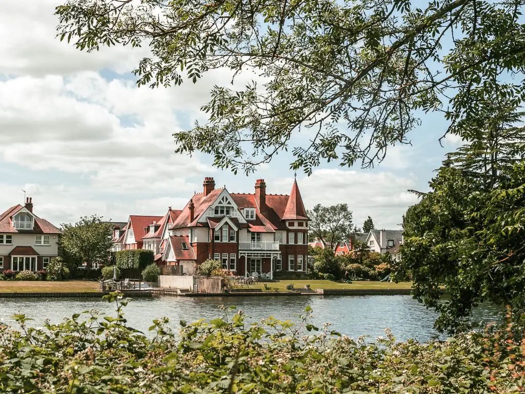 Looking over the green leafy bushes to the river and a grand house on the other side. There is a tree branch hanging into the frame on the right.