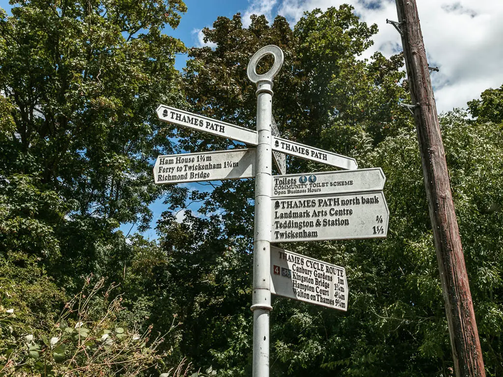 A white signpost pointing in all directions, standing in front of the green leafy trees.