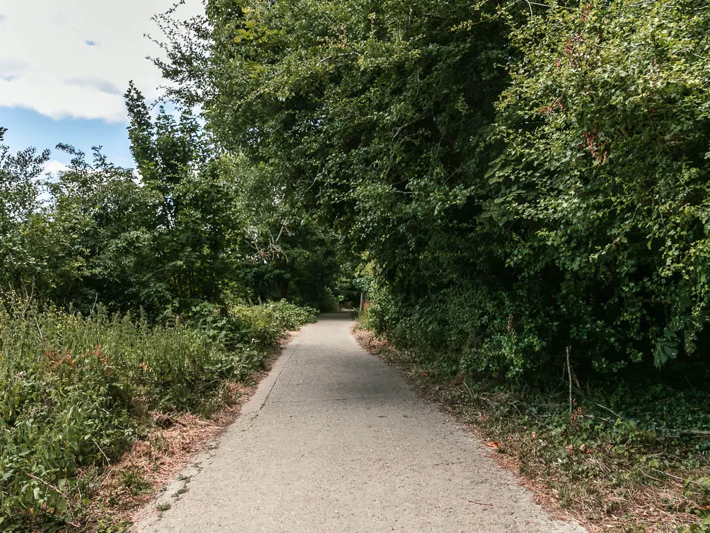 A wide path leading ahead then right, and lined with masses of green leafy bushes and trees.