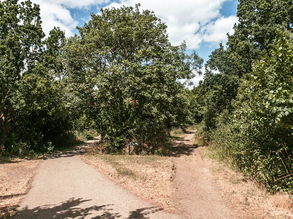 A split in the gravel dirt trail, lined with green leafy trees on both sides and in the split. 