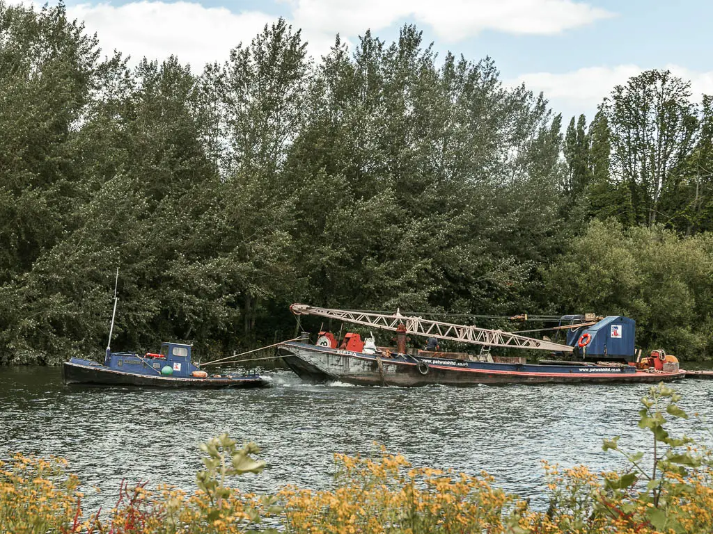 A small boat towing a bigger boat along the river, on the walk between Hampton Court and Putney. There other side of the river is lined with trees.