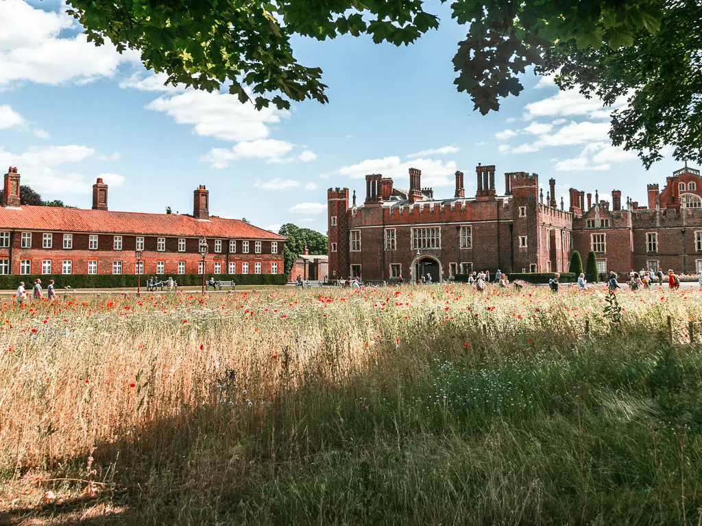 Looking across the tall grass with red poppies to Hampton Court, at the start of the walk towards Putney.