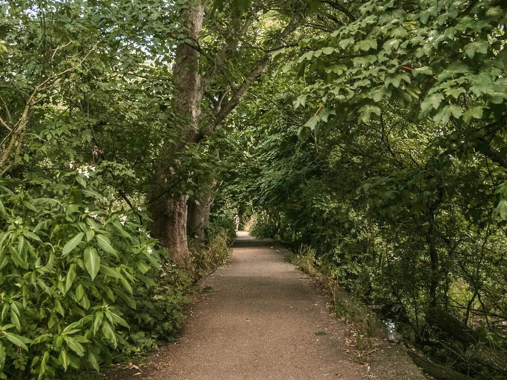 A long straight walking path lined with woodland trees and bushes along the route between Hampton Court and Putney.