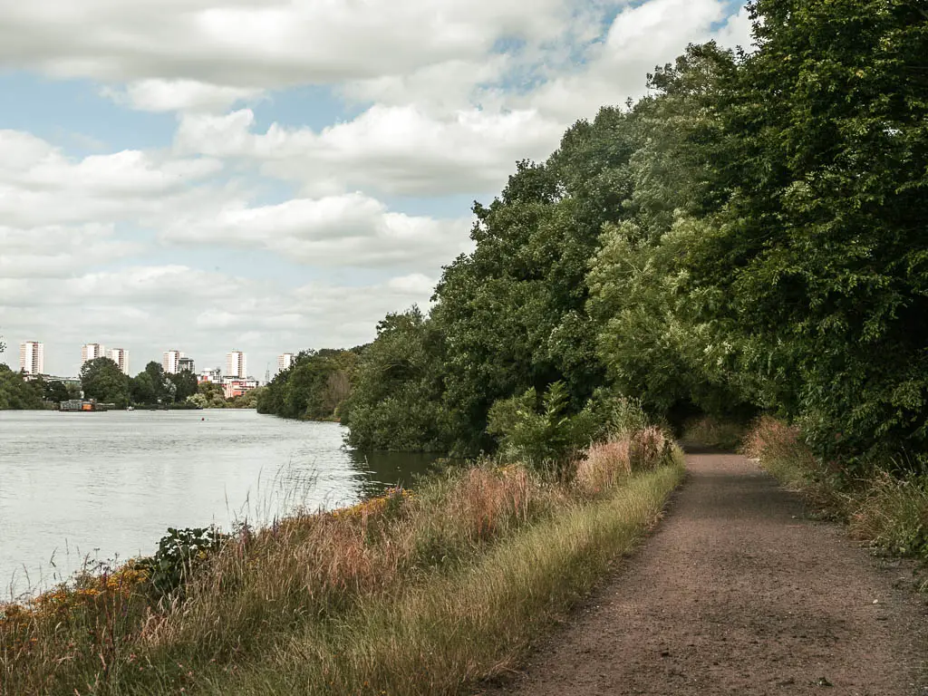 A dirt path on the right, with strip of grass and river to the left on the walk between Hampton Court and Putney. There are tall buildings in the distance to the left. There are trees enclosing the trail ahead.