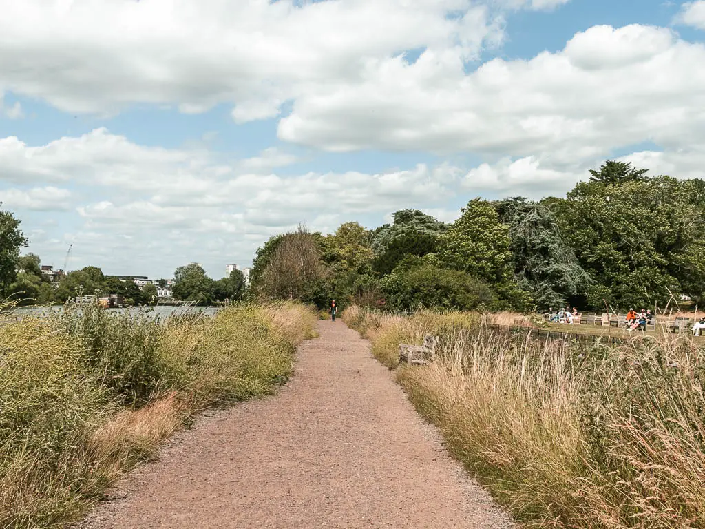 A wide path leading ahead, lined with tall grass.