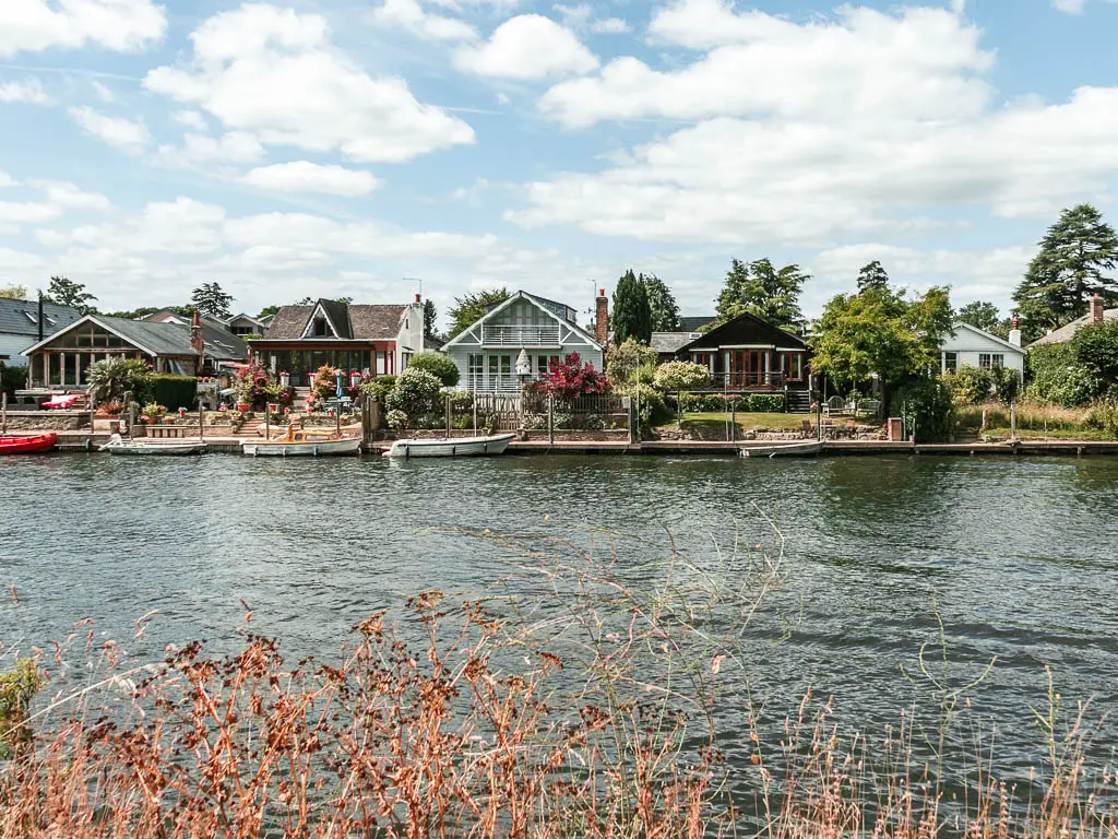 Looking across the river to houses lining the other side, on the walk between Hampton Court and Putney.