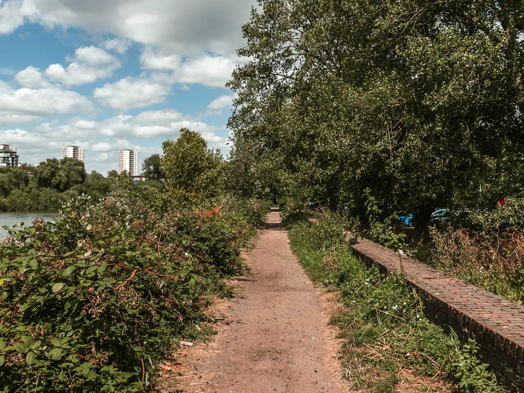 A straight narrow dirt trail lined with bushes on the left and trees on the right. There are a couple of tall apartment buildings visible in the distance to the left. 