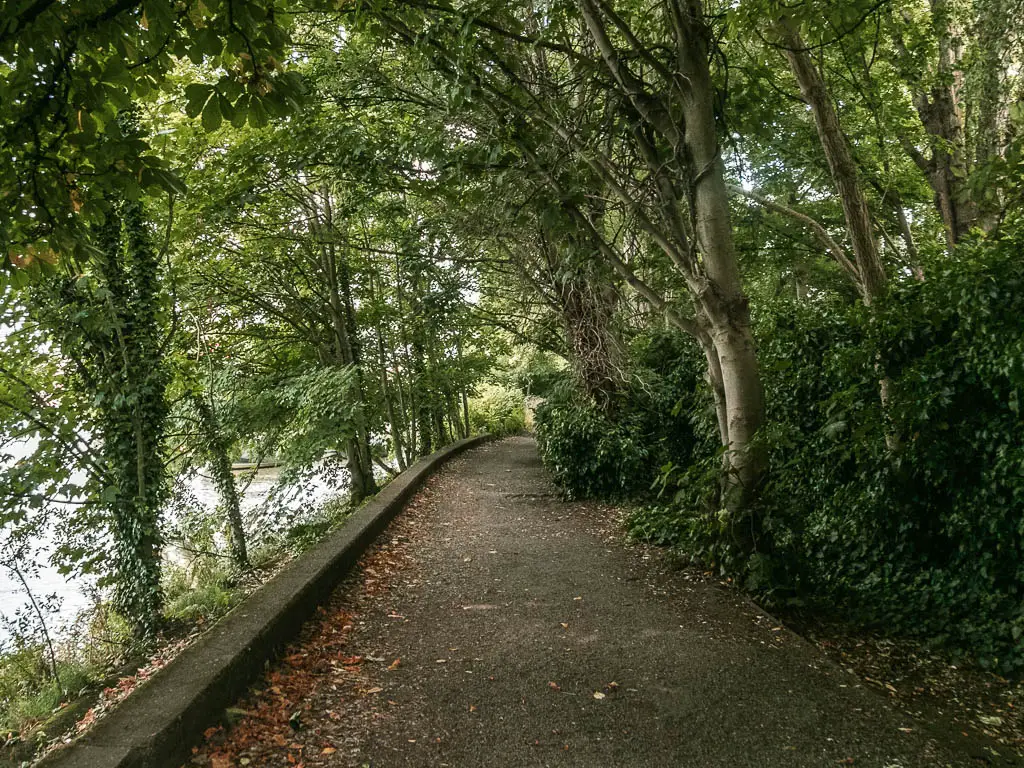 A wide dirt path leading ahead liner with bushes to the right, and trees on both side. The river is just visible to the left.