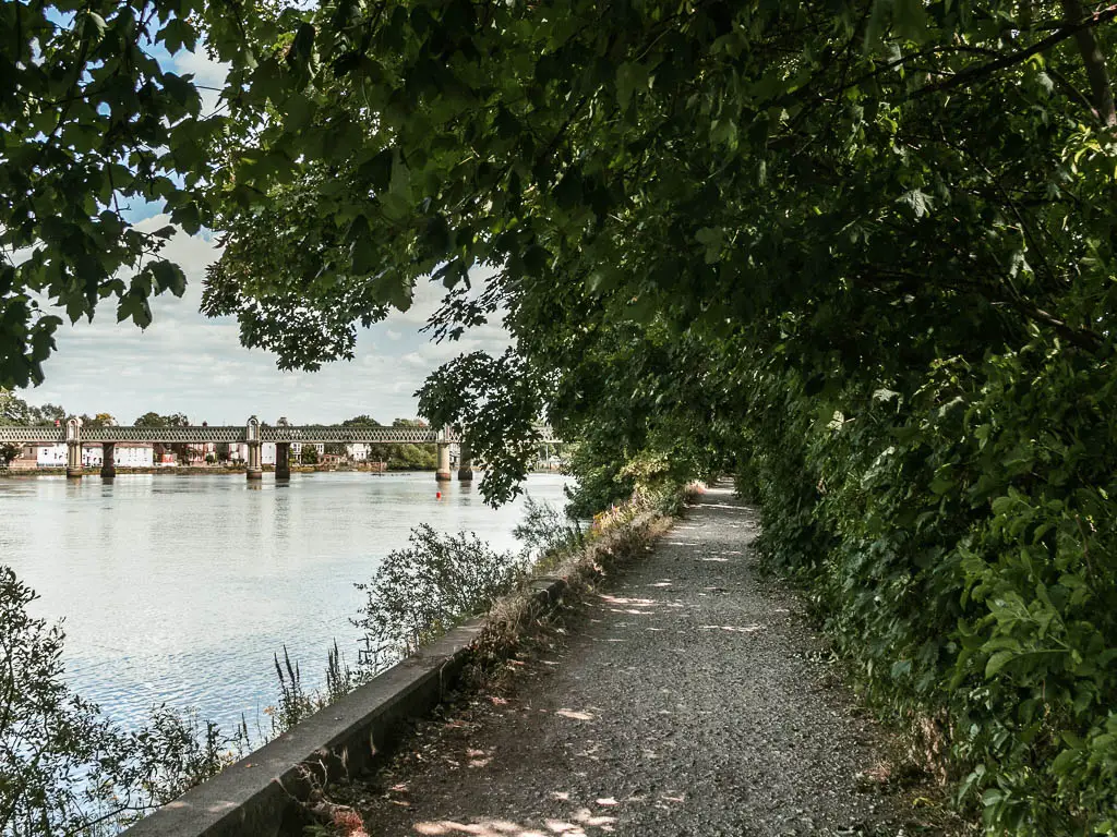 A gravel path leading straight ahead with the river to the left, and bushes to the right with tree branches overhanging the path.