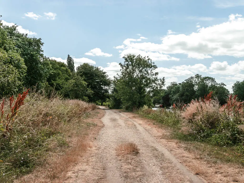 A long straight and wide dirt path, lined with tall grass and bushes on the walk from Hampton Court to Putney. There are trees ahead. 