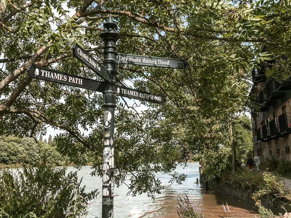 A black direction sign pointing ahead and back for the Thames Path, and right for the dry route during flooding.