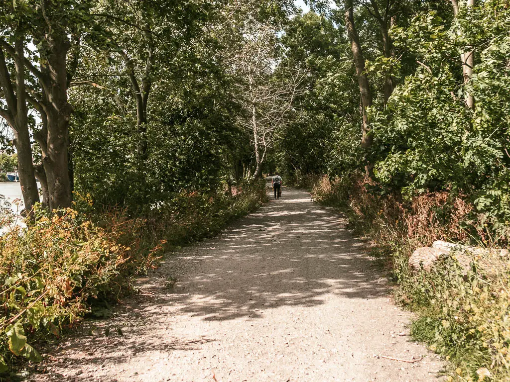 A wodę grave path leading ahead, lined with bushes and trees.