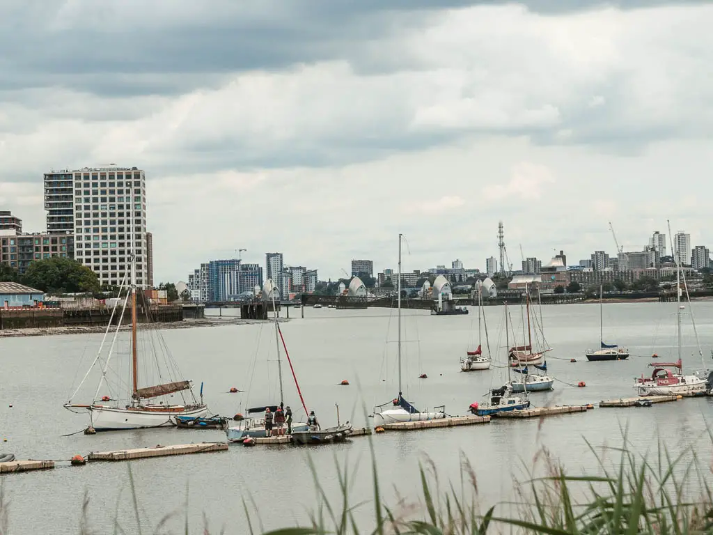 A row of sailing boats moored on the river, with the Thames Barrier ahead in the distance.