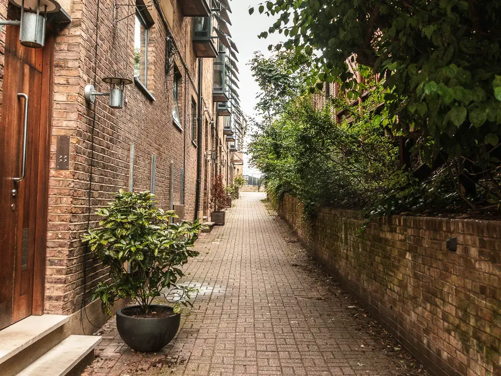 a narrow walking path with brick walled houses to the left and a short brick wall to the right. There are bushes and trees coming up from behind the brick wall.