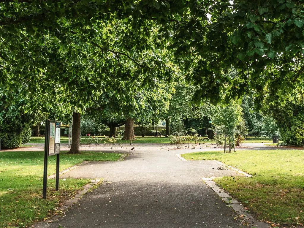 A wide path leading through the park. There is green grass either side of the path and overhanding green leafy tree branches.