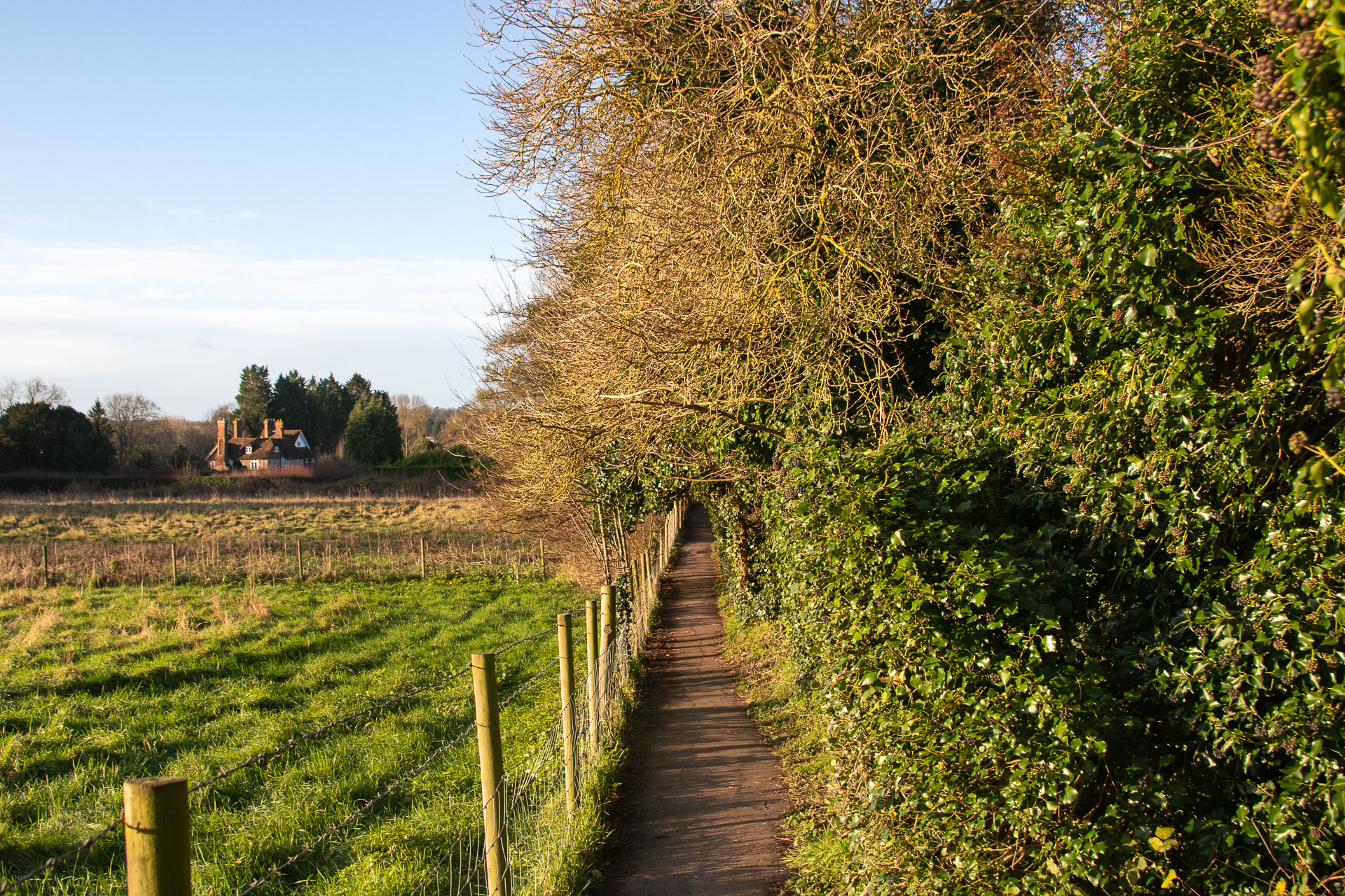 A narrow path leading straight ahead, with bushes to the right, and a wire fence and green grass field to the left, on the walk into Otford. There is a cottage just visible in the distance on the left.